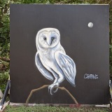 curtis-griffin-owl